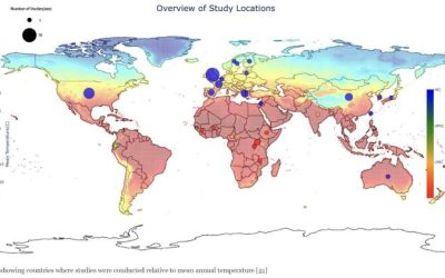 Impacts of heat exposure in utero on long-term health and social outcomes: a systematic review.