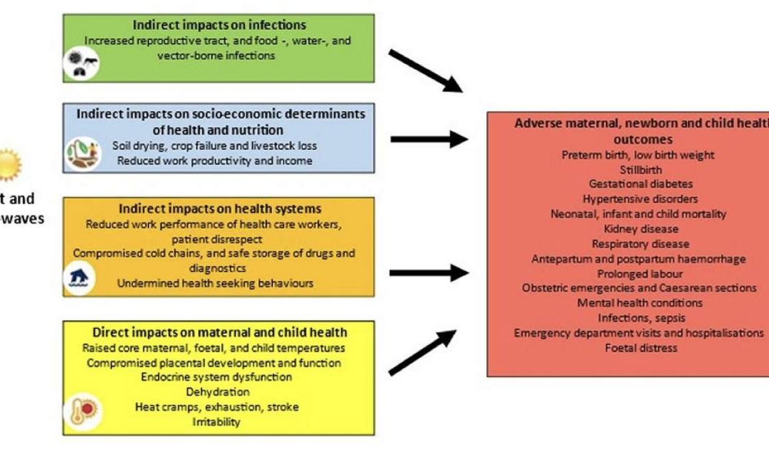 Protocol of an individual participant data meta-analysis to quantify the impact of high ambient temperatures on maternal and child health in Africa (HE2AT IPD)