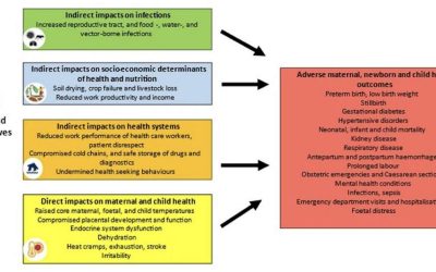Protocol of an individual participant data meta-analysis to quantify the impact of high ambient temperatures on maternal and child health in Africa (HE2AT IPD)