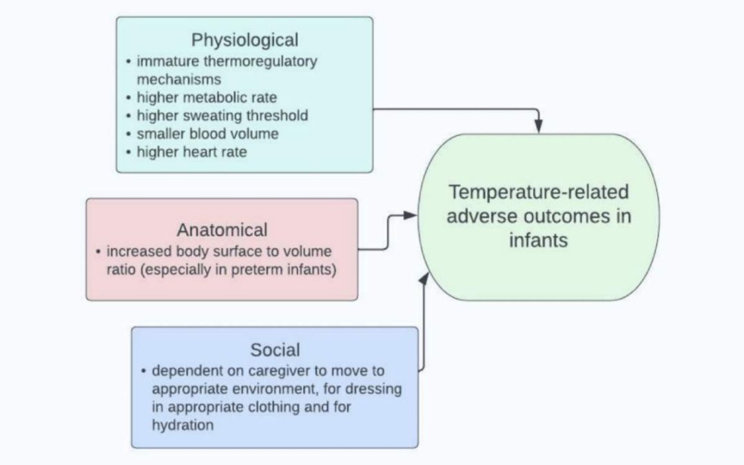 The Effect of High and Low Ambient Temperature on Infant Health: A Systematic Review