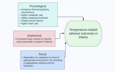 The Effect of High and Low Ambient Temperature on Infant Health: A Systematic Review
