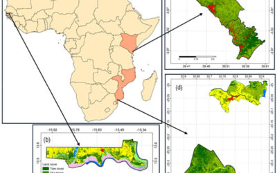 Daily outdoor PM2.5 exposure characterization and road-edge effect during a 2022–2023 monitoring campaign in The Gambia, Kenya and Mozambique