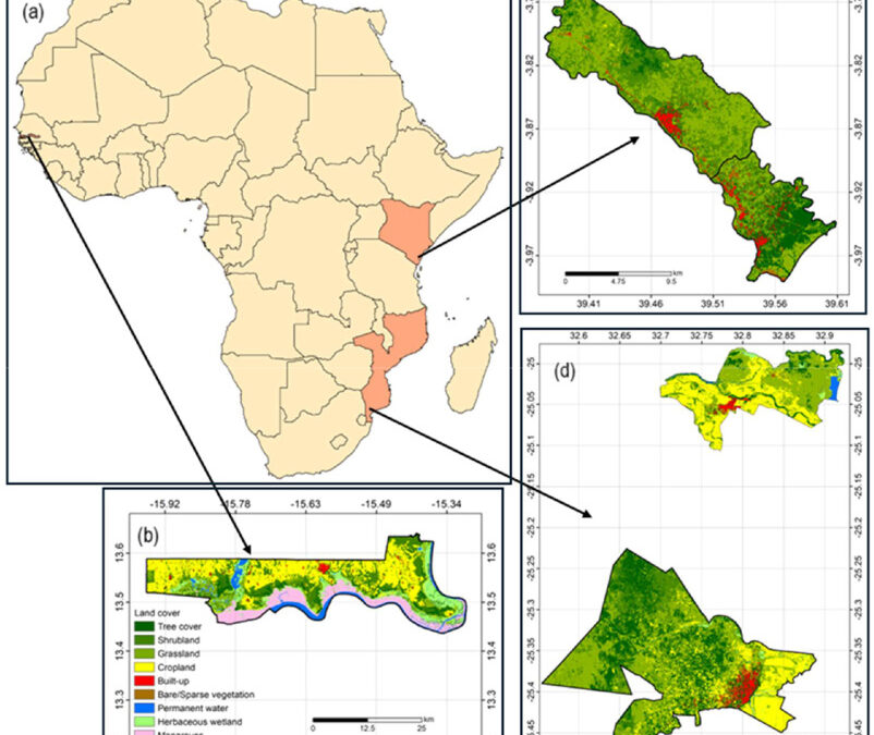Daily outdoor PM2.5 exposure characterization and road-edge effect during a 2022–2023 monitoring campaign in The Gambia, Kenya and Mozambique