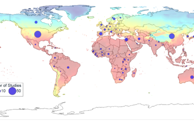 Ongoing Study Sparks Global Conversation on Heat-health Risks During Pregnancy